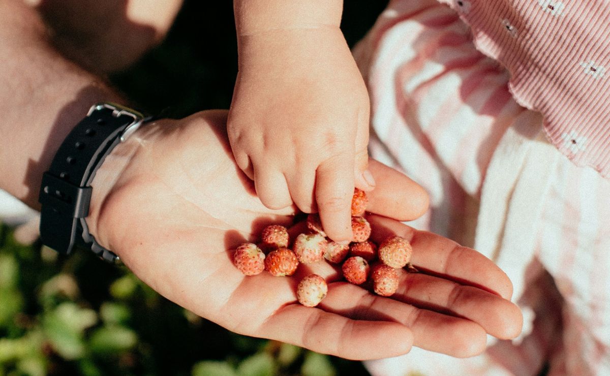 Libertad y responsabilidad, más cercanas de lo que se cree: José Antonio Lozano reflexiona