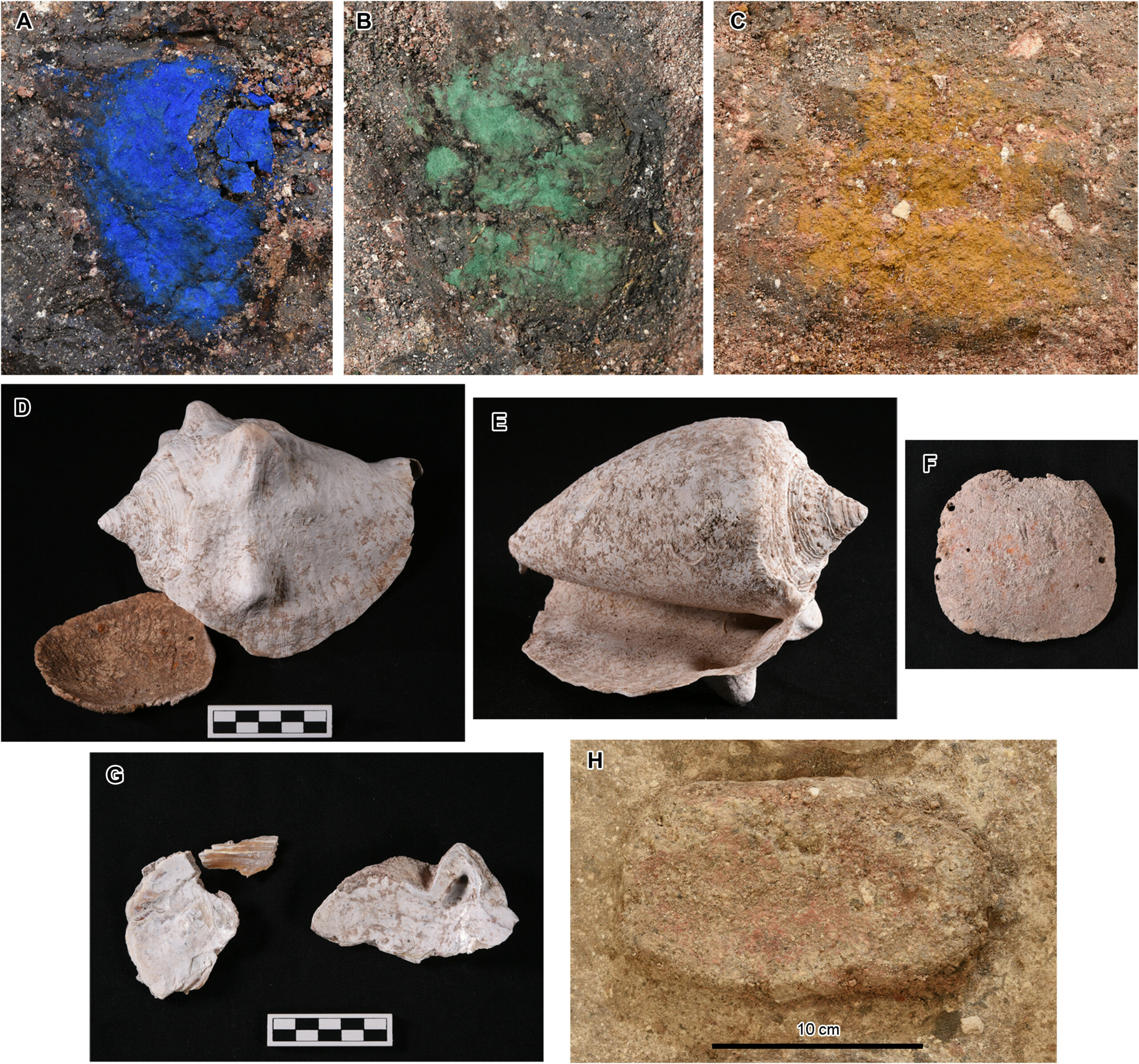 Descubren en México el mayor monumento ritual de Mesoamérica, ¿dónde está? - piezas-halladas-en-la-aguada-fenix-descubierta-en-tabasco-scaled