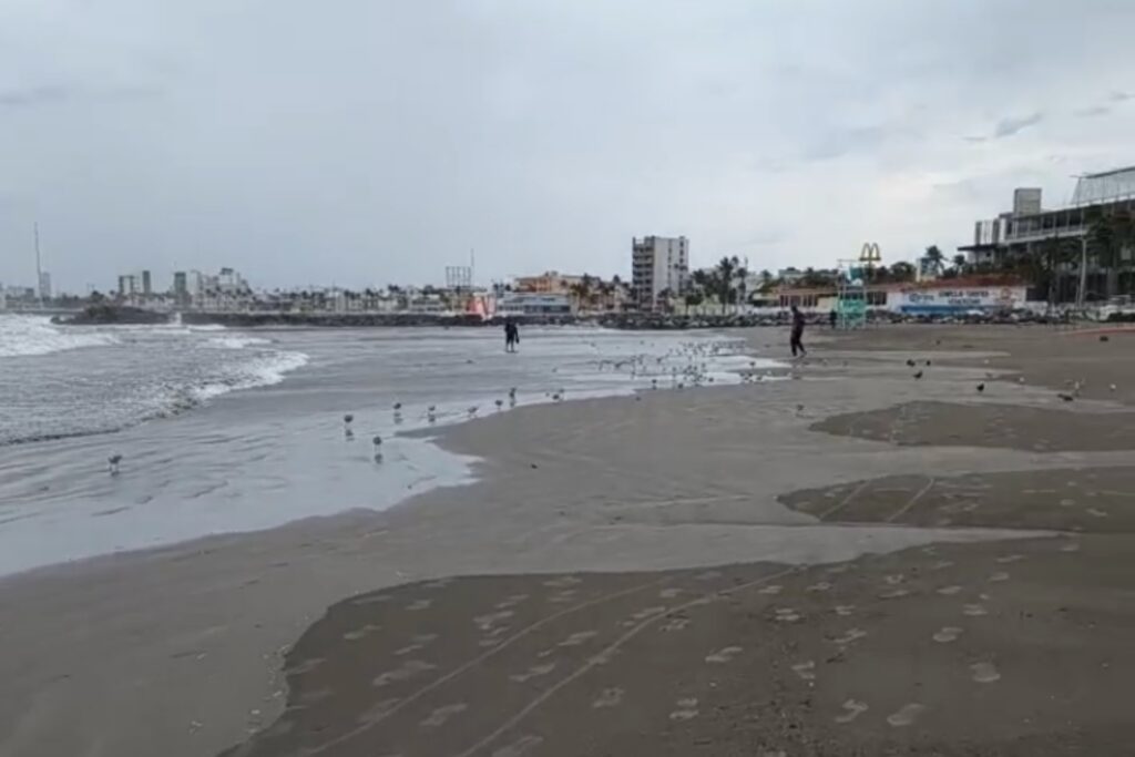 Cierran puerto de Veracruz por evento de Norte y frente frío 13