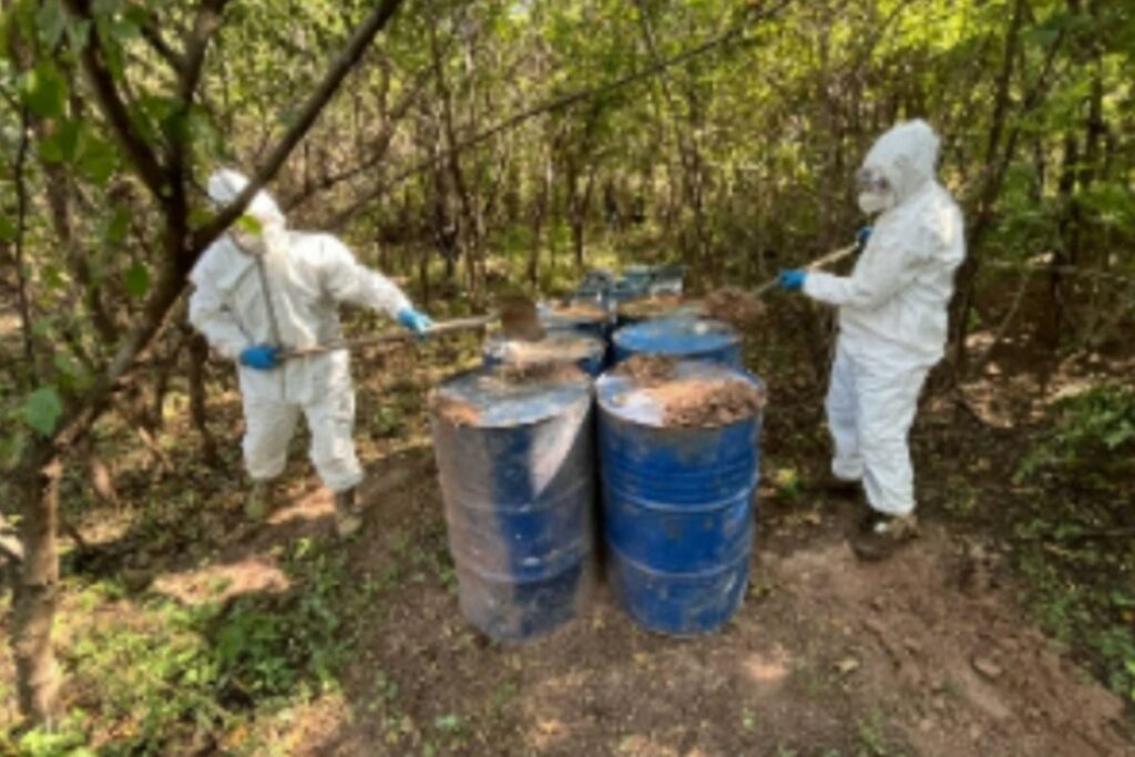 Sinaloa: Aseguran tres mil 500 litros de químicos y destruyen artefactos explosivos improvisados