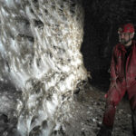 Descubren la telaraña más grande del mundo en Europa, con más de 100 mil arañas