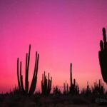 Auroras boreales crean un espectáculo sorprendente que llega a México
