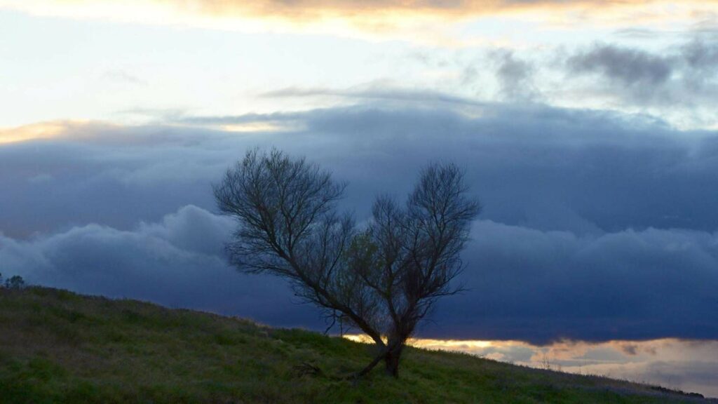 Al menos un muerto por fuerte tormenta en California que se extenderá hasta la Navidad