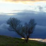 Al menos un muerto por fuerte tormenta en California que se extenderá hasta la Navidad