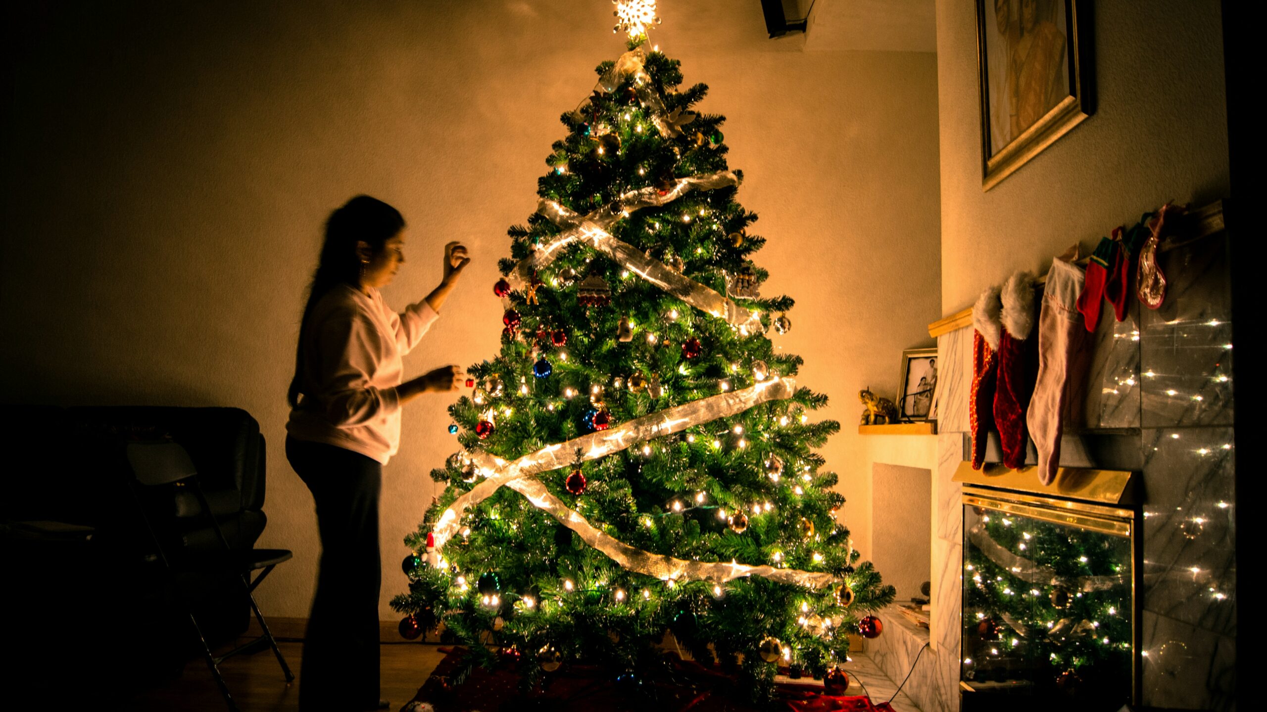 El dilema ecológico de elegir un árbol en estas fiestas El dilema ecológico de elegir un árbol en estas fiestas