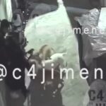 Video: Perros pitbull atacan a mujer en Tláhuac, CDMX