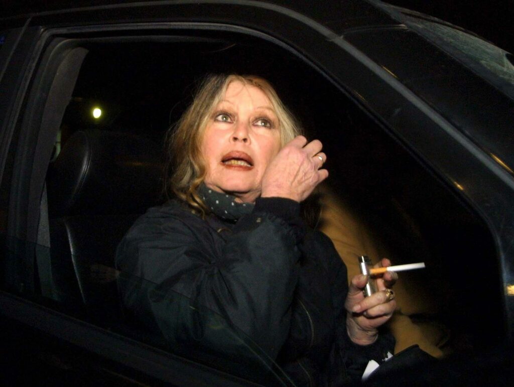 Brigitte Bardot, el ícono de la cultura francesa