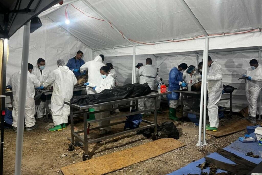 Identifican 160 cuerpos identificados del crematorio Plenitud, en Ciudad Juárez