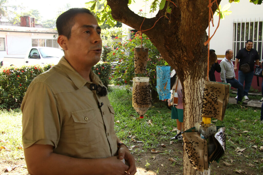 Productores de carne en Chiapas lanzan trampas artesanales para contener al gusano barrenador - dc624d7f6c16c1c047be3d3382d87b7d4be75339w-1024x683