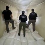 Aseguran en Sinaloa 320 kg de metanfetamina ocultos en tractocamión