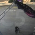 Video: Paracaidista queda atorado en semáforo del Centro Histórico de CDMX