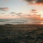 Cofepris revela las playas de M&eacute;xico a las que no debes ir en estas vacaciones de fin de a&ntilde;o