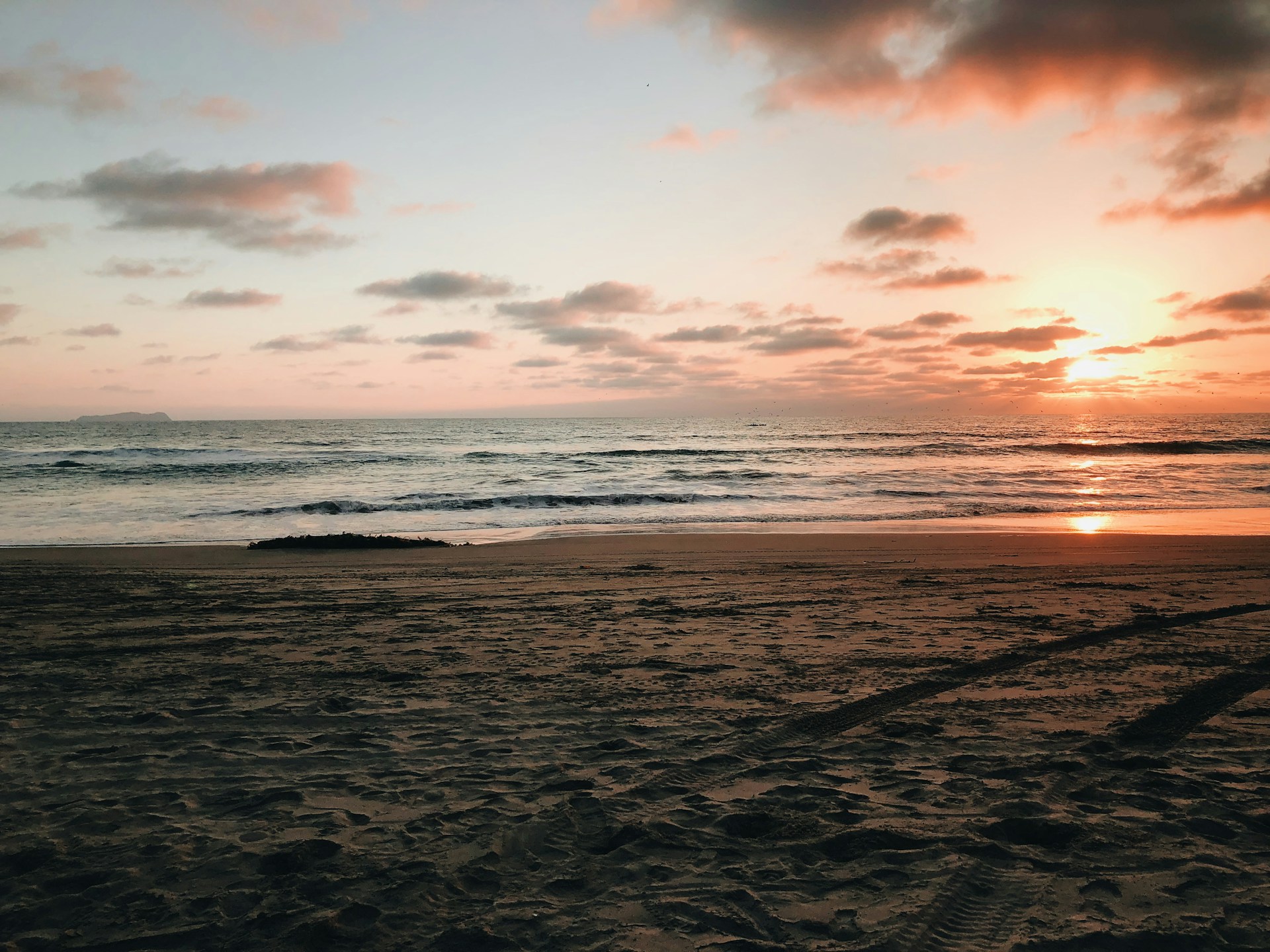 Cofepris revela las playas de M&eacute;xico a las que no debes ir en estas vacaciones de fin de a&ntilde;o