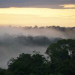 Estudio alerta que un nuevo clima ‘hipertropical’ etsá surgiendo en la Amazonía, ¿en qué consiste?