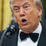 Trump planea un rescate de 12 mil mdd para los agricultores de EE.UU.