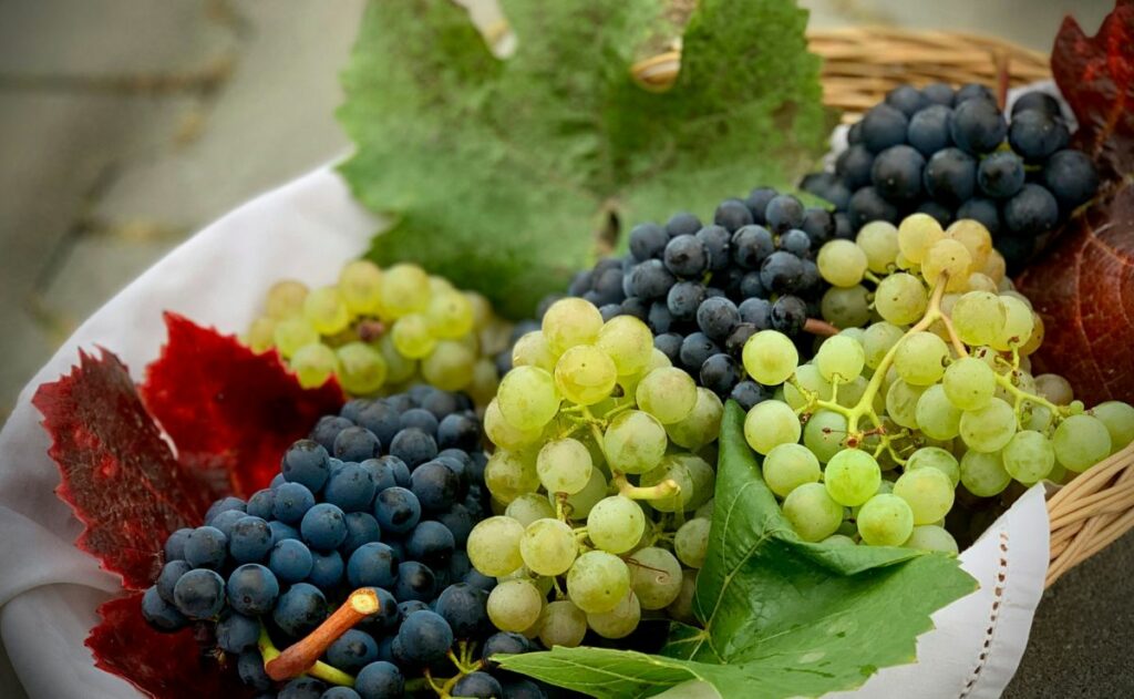 Precio de las uvas se dispara, ¿qué otra cosa comer en Año Nuevo?