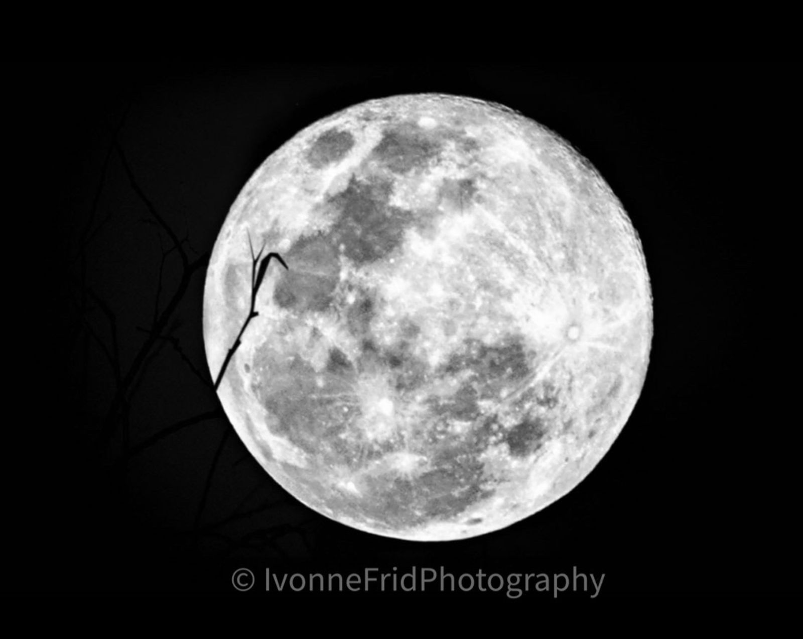 Espectáculo esta noche con una superluna llena que alcanzará su máxima altura sobre el horizonte