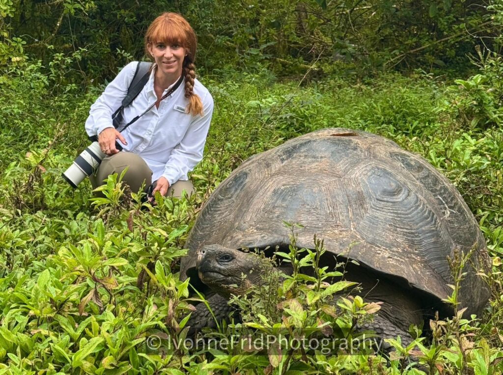 Las Islas Galápagos: testimonio viviente de más de dos mil especies endémicas - whatsapp-image-2025-12-12-at-105638-am-1-1024x764