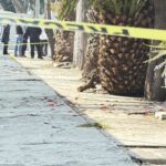 Hallan cuerpo en inmediaciones del Colegio de Bachilleres 10 en la CDMX