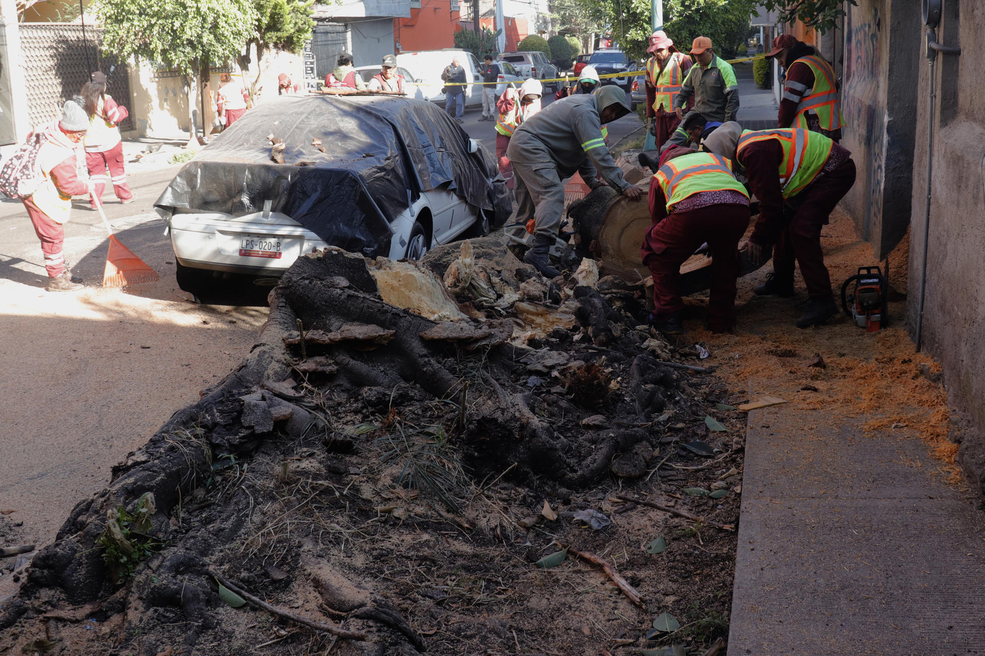 Suben a 24 los municipios afectados en Guerrero por el sismo de magnitud 6.5