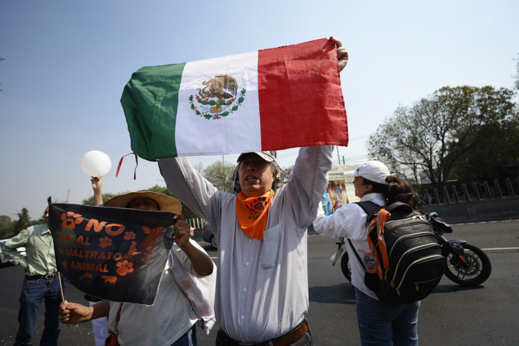 Animalistas celebran la recuperación del Refugio Franciscano en CDMX tras orden judicial - 630fb8e5c5004c224b7b8ae997c533f8a3f59208w-1024x683