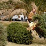 CDMX habilita centros de acopio para recibir árboles de Navidad y nochebuenas, ¿en dónde están?