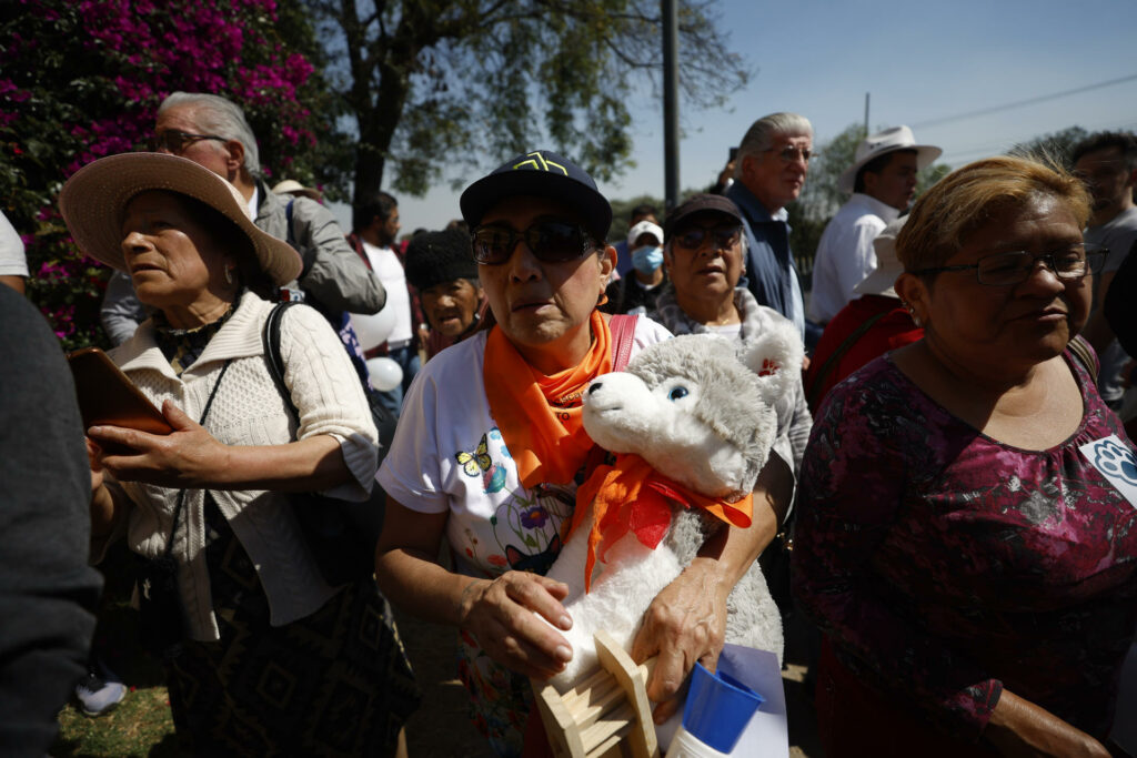 Animalistas celebran la recuperación de su refugio en Ciudad de México tras orden judicial