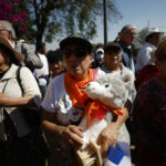 Animalistas celebran la recuperación del Refugio Franciscano en CDMX tras orden judicial