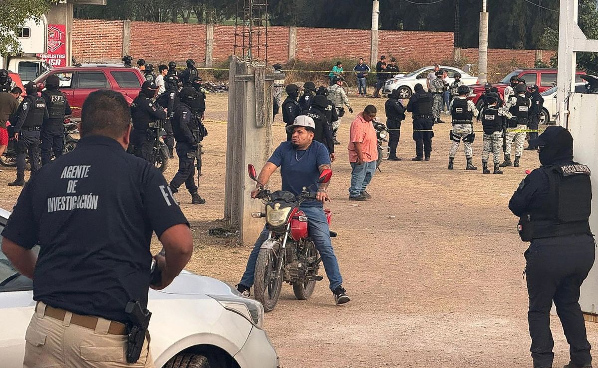 Reportan detención de dos personas por masacre en Salamanca Reportan detención de dos personas por masacre en Salamanca