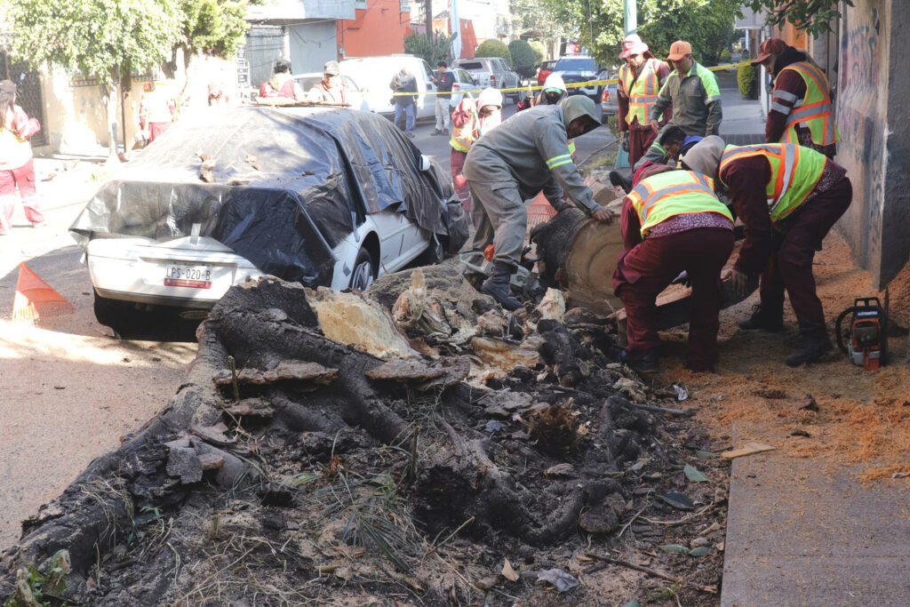 Fallece una mujer tras colapso de vivienda por sismo en Guerrero