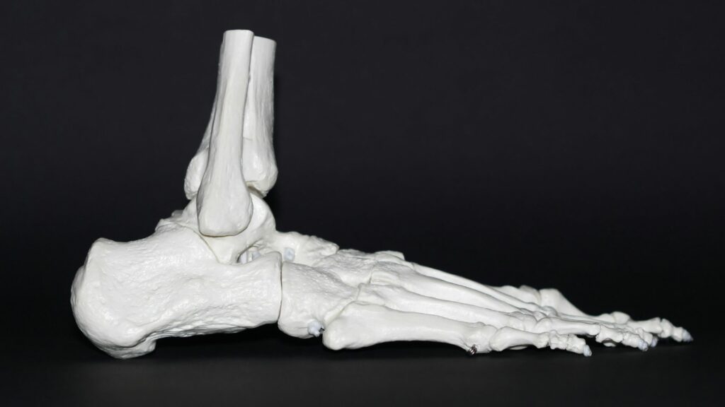 Especialista advierte que osteoartritis afecta al 60 % de mexicanos y empeora con el frío - especialista-advierte-que-osteoartritis-afecta-al-60-de-mexicanos-y-empeora-con-el-frio-1024x576