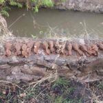 Explota taller clandestino de explosivos operado por Los Viagras en Buenavista, Michoacán