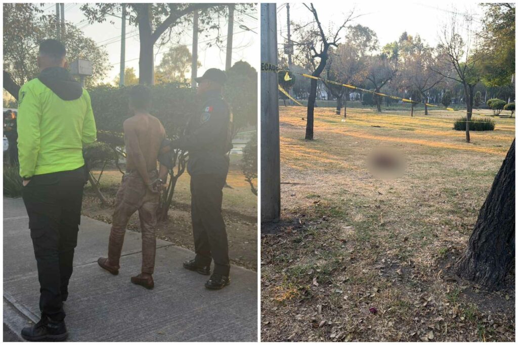 Sujeto mata a dos perros en Insurgentes Norte, CDMX; a uno le quitó la piel