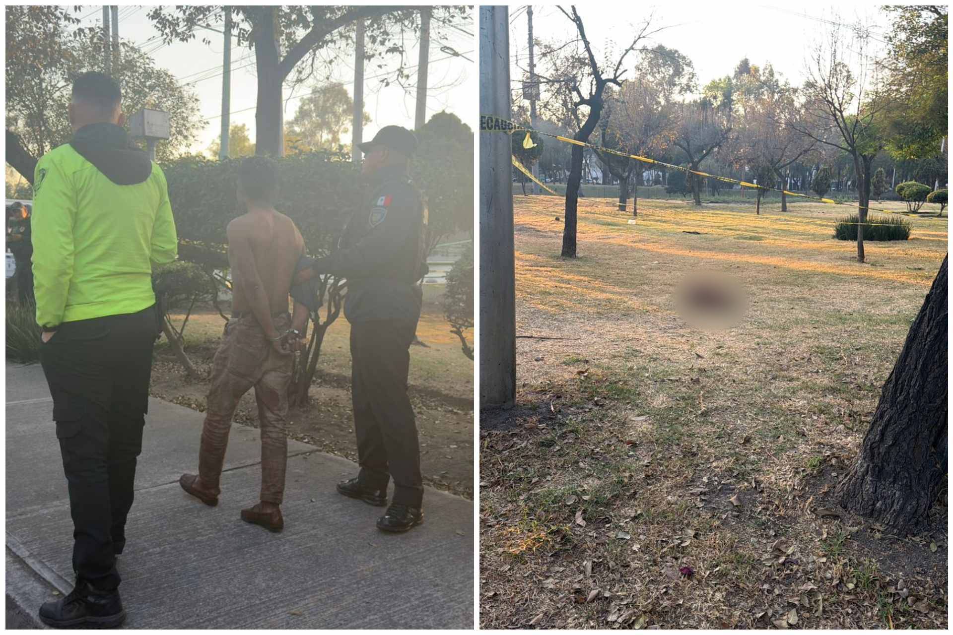 Sujeto mata a dos perros en Insurgentes Norte, CDMX; a uno le quitó la piel Sujeto mata a dos perros en Insurgentes Norte, CDMX; a uno le quitó la piel