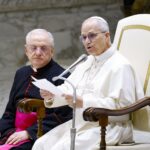 León XIV congrega a cardenales de todo el mundo para idear el futuro de la Iglesia