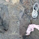 Hallan cuerpos de tres mujeres y fragmentos óseos en Juventino Rosas, Guanajuato