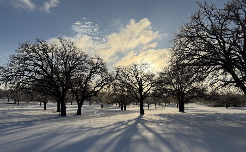 Tormenta de nieve deja más de 700 mil hogares sin electricidad en EEUU