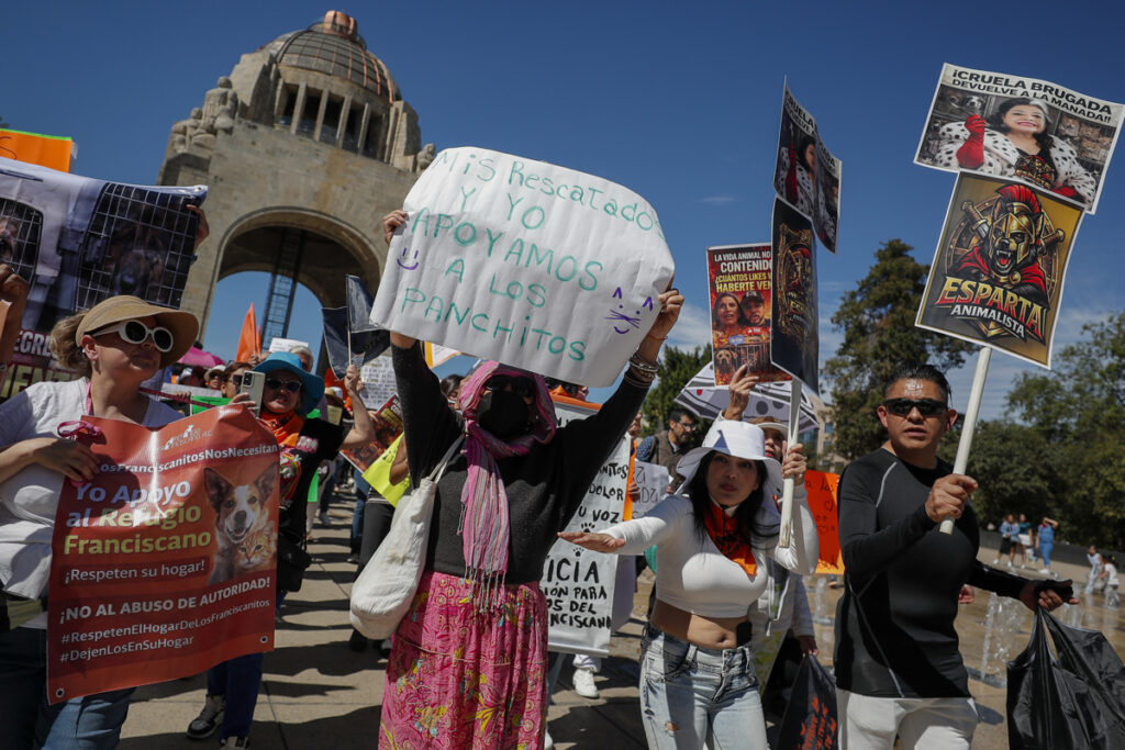 Urgen restituir el Refugio Franciscano en CDMX y acusan “masacre” canina