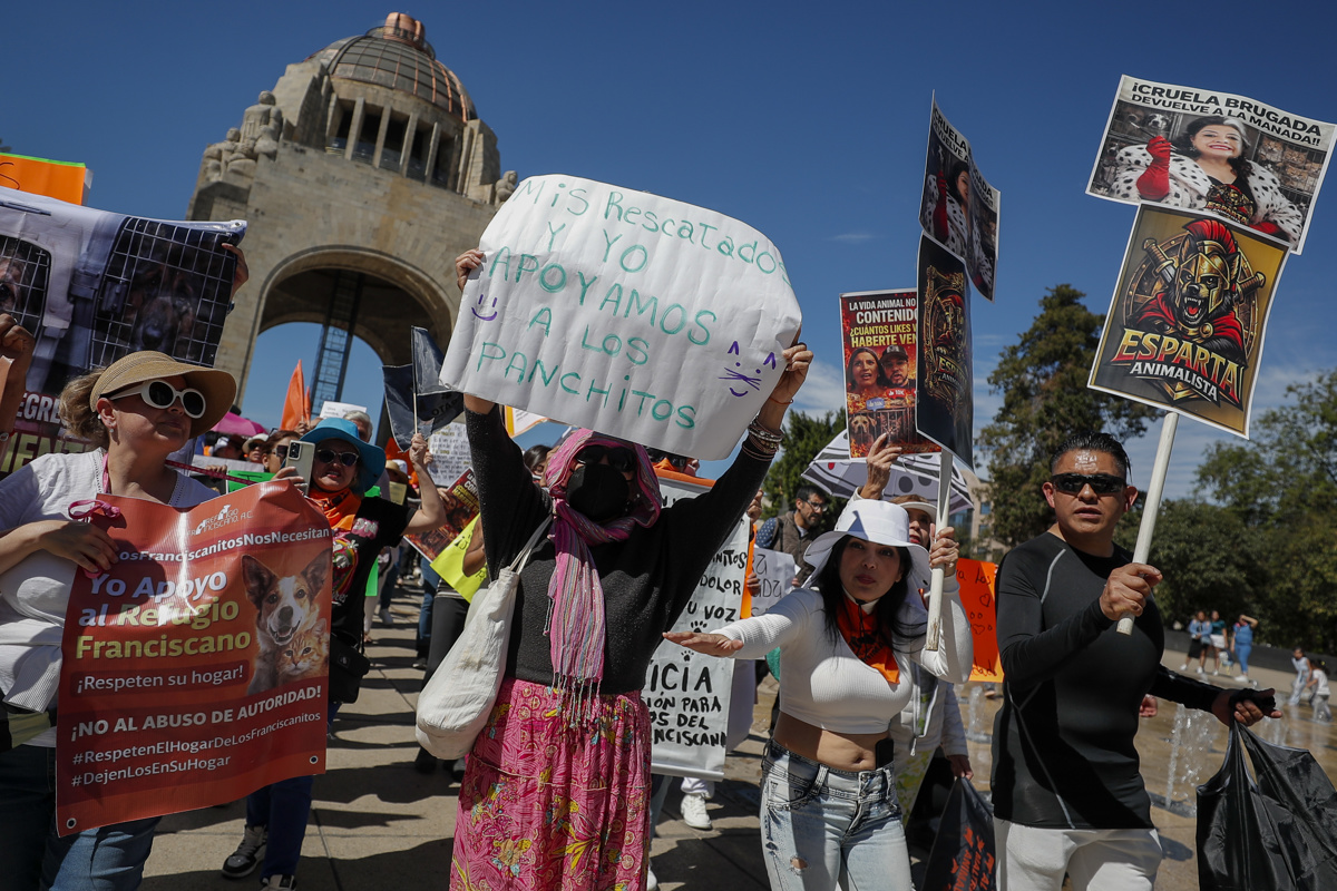 Urgen restituir el Refugio Franciscano en CDMX y acusan “masacre” canina Urgen restituir el Refugio Franciscano en CDMX y acusan “masacre” canina