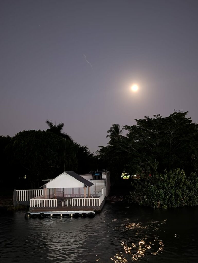 Review: Google Pixel 10 — diez años de espera que finalmente valieron la pena - whatsapp-image-2026-01-05-at-94727-am-770x1024