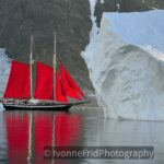 Dramático incremento de turistas en la Antártida provocado por las redes sociales