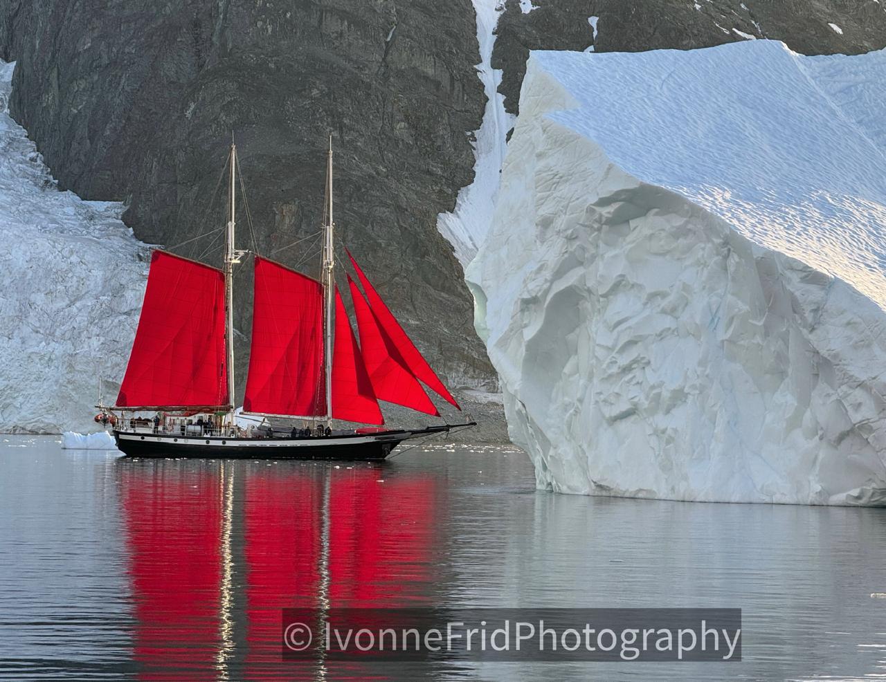 Dramático incremento de turistas en la Antártida provocado por las redes sociales