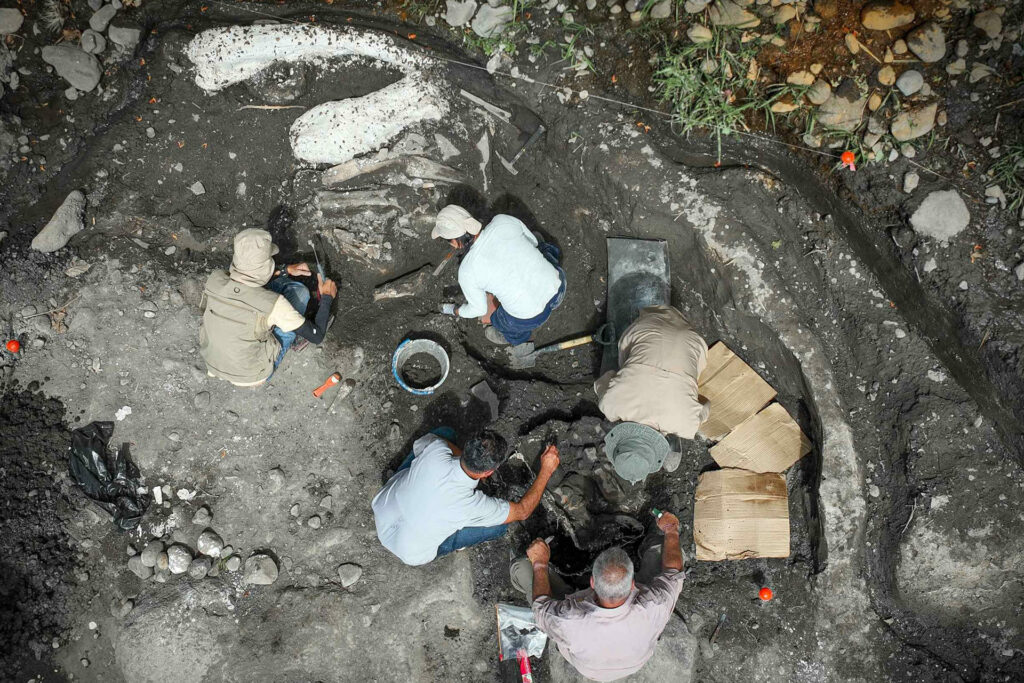 Hallan fósiles de perezoso gigante y mastodonte en Costa Rica - 99f18f8dc4c2b50f9bcc727b9cb30efb10861927w-1024x683