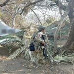 Aseguran aeronave clandestina en Oaxaca cargada de cocaína