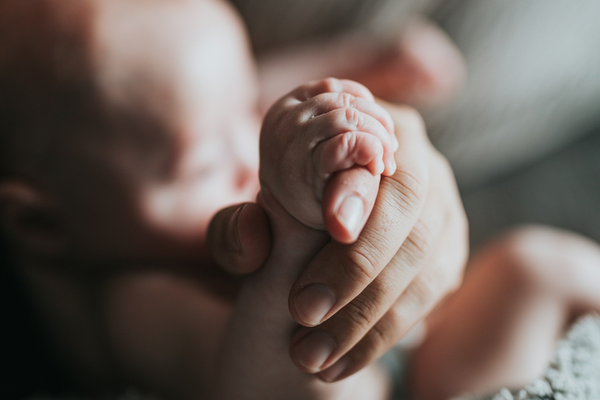 El cerebro de los bebés clasifica los objetos con solo dos meses de edad