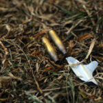 Van 28 militares muertos tras operativo donde fue abatido el ‘Mencho’