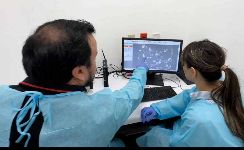 Científicos de la UNAM investigan el desarrollo del cáncer de piel más común en México