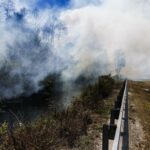 Incendio de más de 10 mil hectáreas se expande sin control en los Everglades en Florida