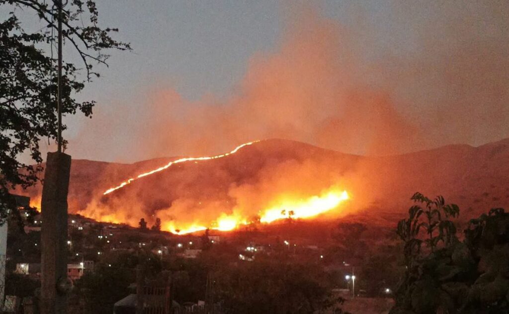 Se registra incendio en inmediaciones de Monte Albán