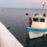 Marina asegura embarcación con 130 kilos de tiburón por pesca ilegal en Islas Marías